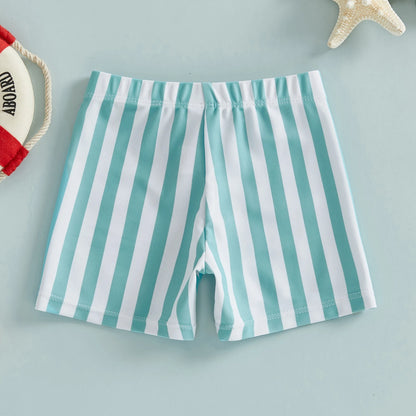 Swim Trunks Stripes Print Elastic Waist Beach Shorts Shorts Clothes